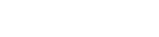Phoenix Mecano Logo White