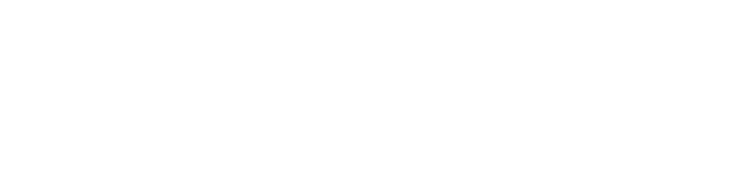 Phoenix Mecano White Logo